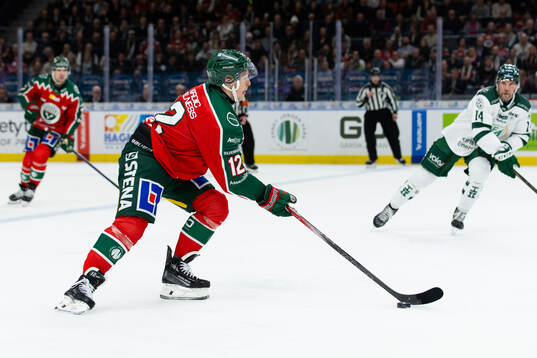Frölundas Max Friberg