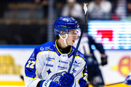 Leksands Lukas Vejdemo deppar