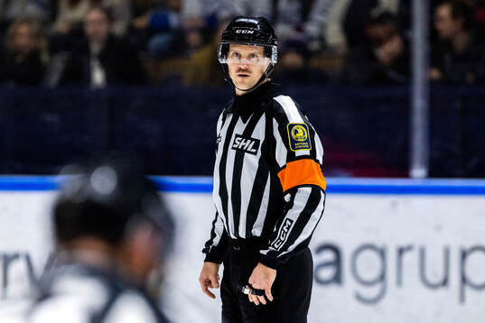 Domare Stefan Leijonklo