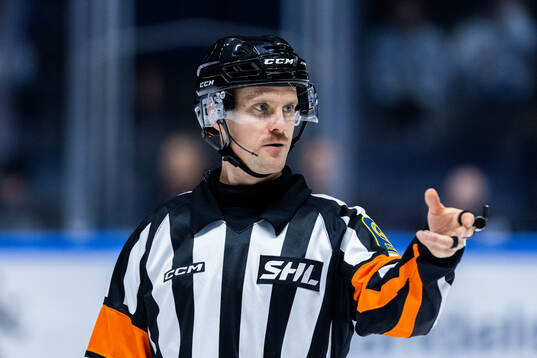 Domare Stefan Leijonklo