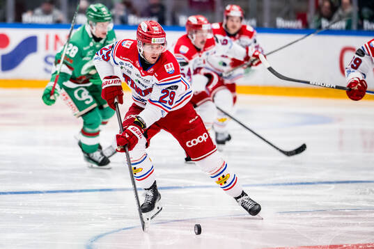 Timrås Filip Hållander