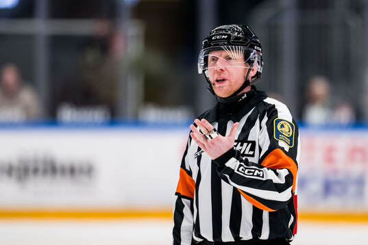 Domare Mikael Holm