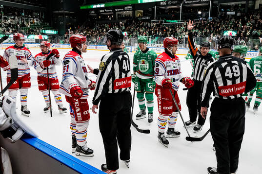 Domare Mikael Holm i samspråk med Rögle och Timrå