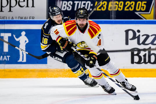Brynäs Anton Rödin