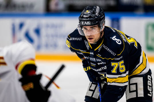 HV71s Radan Lenc