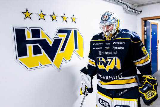 HV71s målvakt Hugo Alnefelt