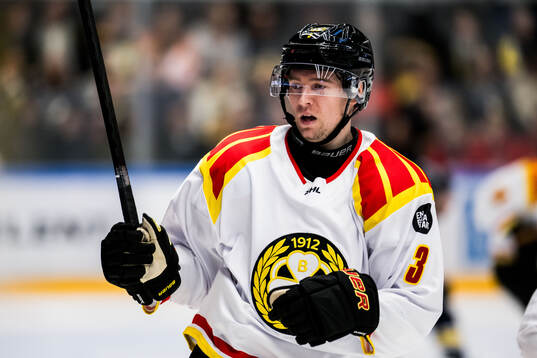 Brynäs Christian Djoos
