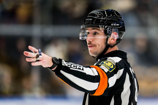 Domare Oscar Niklasson