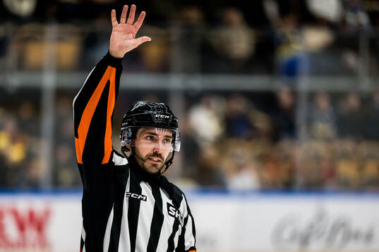 Domare Mattias Enroth