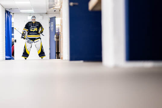 HV71s målvakt Hugo Alnefelt