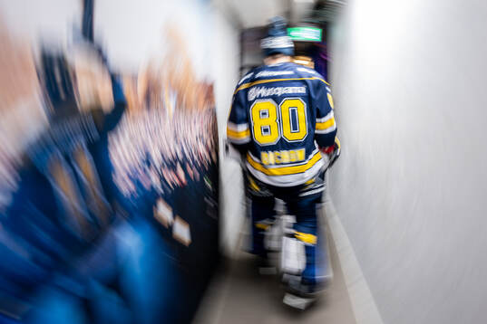 HV71s målvakt Frederik Dichow
