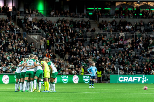 Players of Hammarby