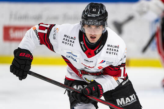 Malmö Redhawks Nikola Pasic