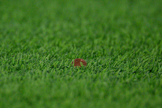 A coin