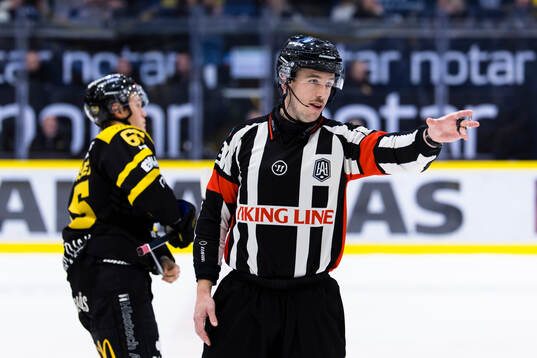 Domare Oscar Niklasson