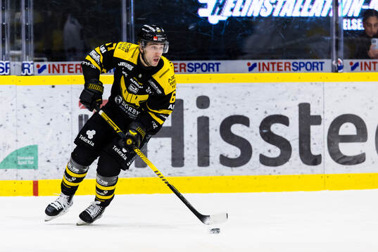 Västerås Konstantin Komarek