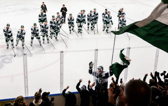 Bläddra bland fler bilder av Ishockey, Hockeyallsvenskan, Tingsryd - Kalmar