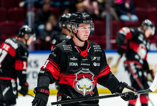 Malmö Redhawks Otto Stenberg
