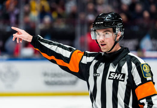 Domare Filip Eriksson