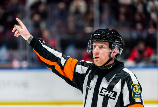 Domare Mikael Holm