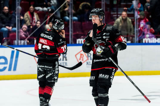 Malmö Redhawks Fredrik Händemark deppar