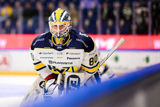 HV71s målvakt Frederik Dichow