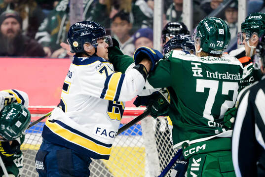 HV71s Radan Lenc och Färjestads Stian Solberg