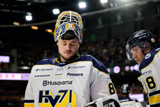 HV71s målvakt Frederik Dichow deppar