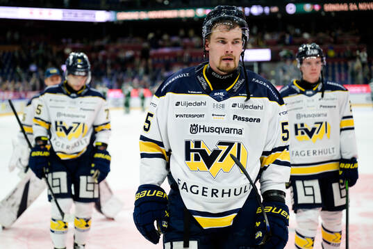 HV71s Mikael Seppälä deppar