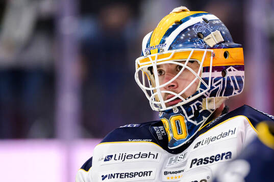HV71s målvakt Frederik Dichow deppar