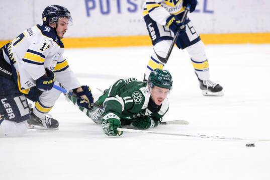 HV71s Isac Brännström och Färjestads Joakim Nygård