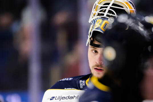 HV71s målvakt Frederik Dichow deppar
