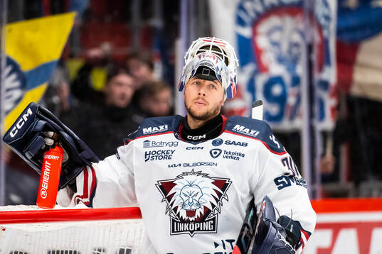 Linköpings målvakt Christian Heljanko deppar
