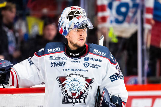 Linköpings målvakt Christian Heljanko deppar