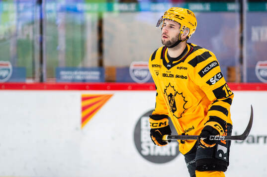 Skellefteås Martins Dzierkals