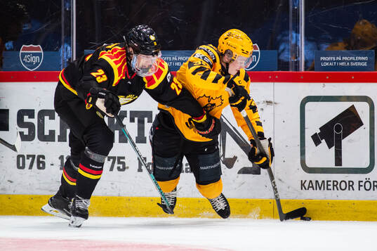 Brynäs Oskar Lindblom och Skellefteås Zeb Forsfjäll