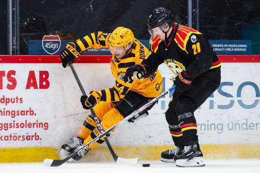 Bläddra bland fler bilder av Ishockey, SHL, Brynäs - Skellefteå