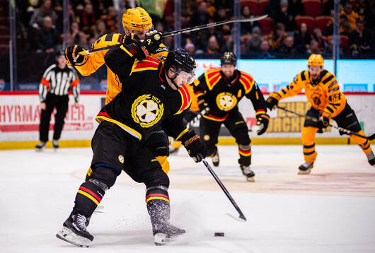 Skellefteås Martins Dzierkals och Brynäs Jordan Schroeder