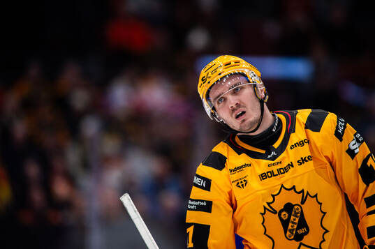 Skellefteås Max Lindholm deppar