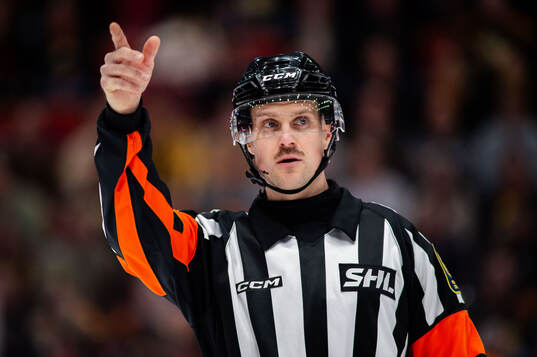 Domare Stefan Leijonklo