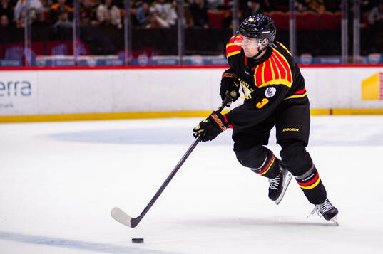 Brynäs Christian Djoos
