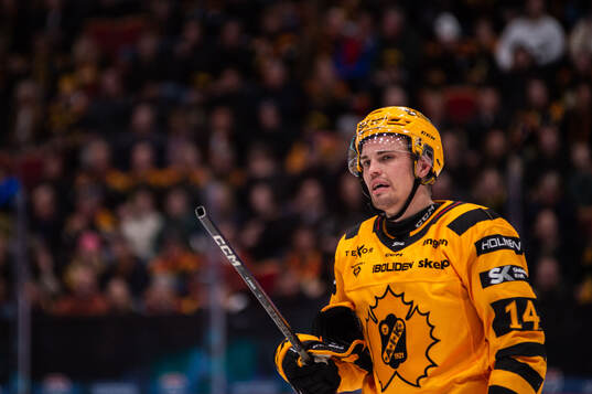 Skellefteås Andreas Johnson deppar