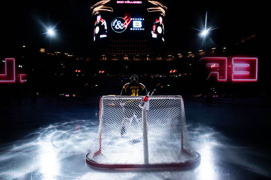 Brynäs målvakt Erik Källgren