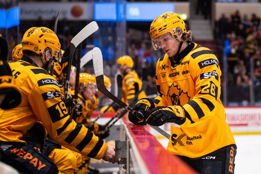 Skellefteås Anton Heikkinen deppar