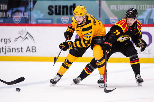 Skellefteås Rasmus Bergqvist och Brynäs Linus Lindblom