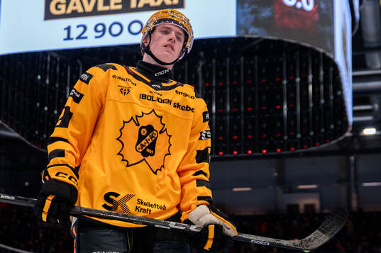 Skellefteås Leo Sundqvist deppar