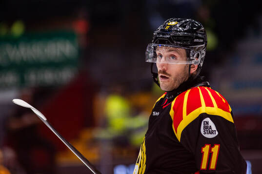 Brynäs Jordan Schroeder