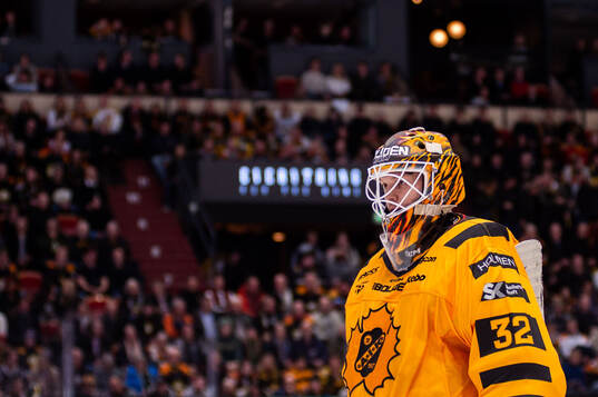 Skellefteås målvakt Linus Söderström deppar