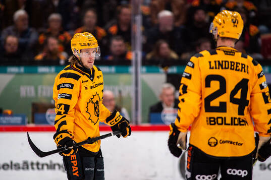 Skellefteås Jonathan Pudas
