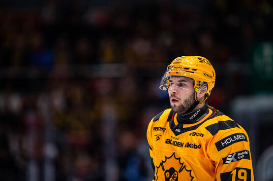 Skellefteås Martins Dzierkals